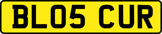 BL05CUR