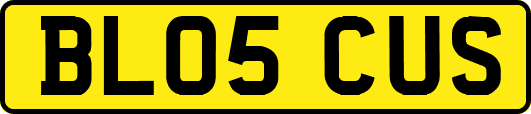 BL05CUS