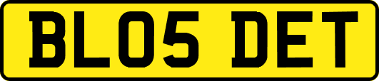 BL05DET