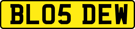 BL05DEW
