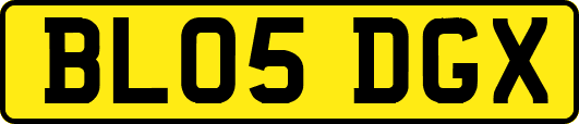 BL05DGX