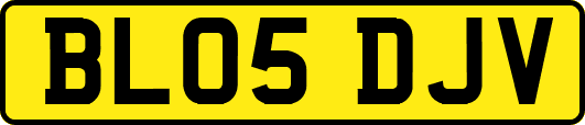 BL05DJV