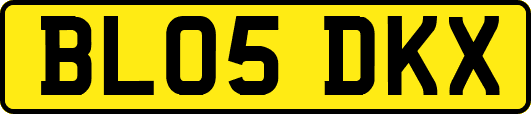 BL05DKX