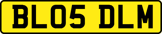 BL05DLM