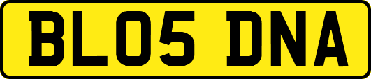 BL05DNA