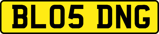 BL05DNG