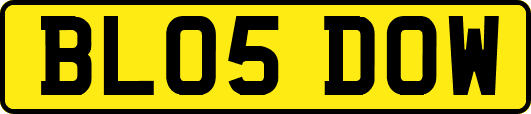 BL05DOW