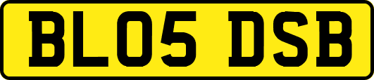 BL05DSB