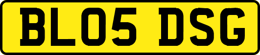 BL05DSG