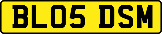 BL05DSM