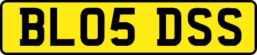 BL05DSS