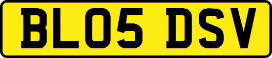 BL05DSV