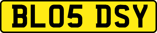 BL05DSY