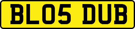 BL05DUB