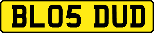 BL05DUD