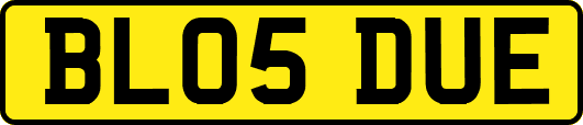 BL05DUE