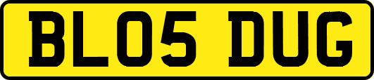 BL05DUG