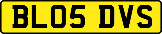 BL05DVS