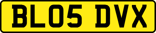 BL05DVX