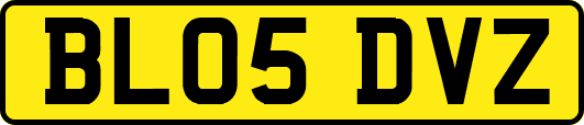 BL05DVZ