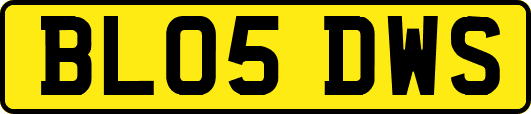 BL05DWS
