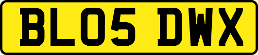 BL05DWX
