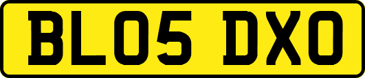 BL05DXO