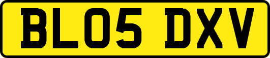 BL05DXV