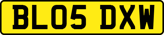 BL05DXW