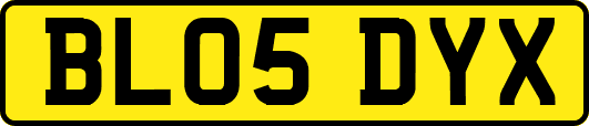 BL05DYX