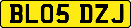 BL05DZJ