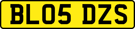 BL05DZS