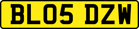 BL05DZW