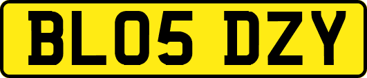 BL05DZY