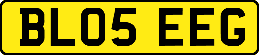 BL05EEG