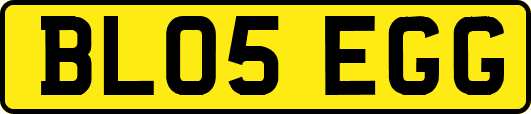 BL05EGG