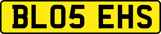 BL05EHS