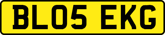 BL05EKG