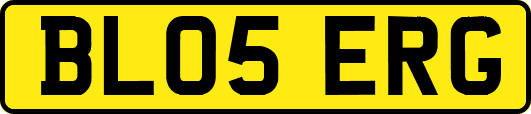 BL05ERG
