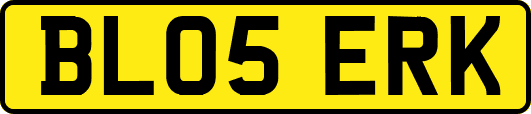BL05ERK