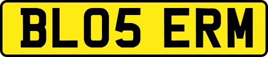 BL05ERM