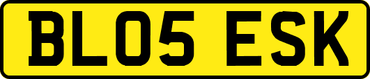 BL05ESK