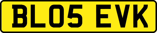BL05EVK