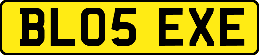 BL05EXE