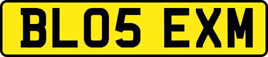 BL05EXM