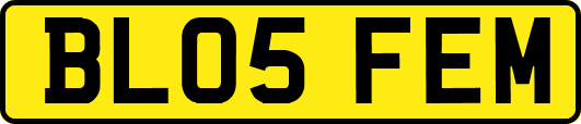BL05FEM