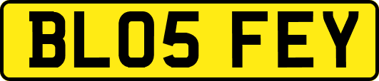 BL05FEY