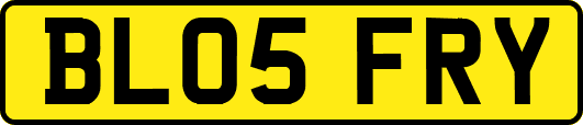 BL05FRY