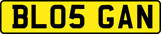 BL05GAN