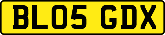 BL05GDX